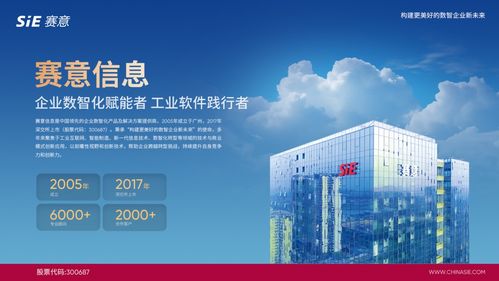 賽意信息入選2024行業(yè)軟件企業(yè)活力與服務(wù)力Top30，彰顯北京信息技術(shù)咨詢(xún)服務(wù)實(shí)力